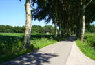 A sunny view from the Marsdijk.