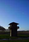 Mr. Blue Sky!