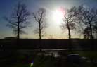 A wintry sun, sharp silhouettes of bare branches.