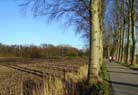View from the Marsdijk to the turris.