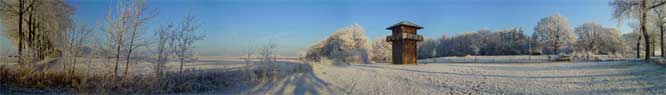 A panoramic shot looking north from the Marsdijk to the tower.