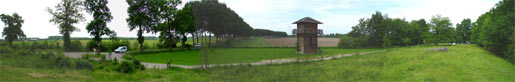After weeks of rain the cattle of the civilians and the horses of the soldiers can graze again..