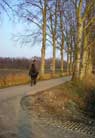 Horse-land..