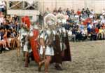 In the arena 2