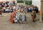 Testudo