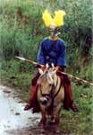 Cavalry..