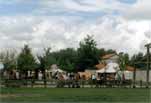 The Camp