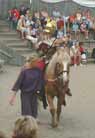 The show starts with a short display of the cavalry.