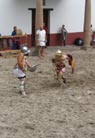 ..then the proper gladiators!