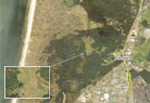 Heemskerk and the North Holland Dune reserve.