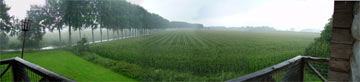 Heavy rain falling from leaden skies.