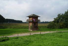 we had time to wander about in the field