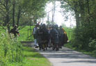 The army on the march! Minervii in front..