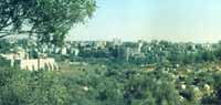 The modern City, as seen from the Israel Museum. In the valley live squatters.