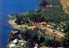 Tabgha, oasis on the shores of Lake Tiberias, complete with a hidden treasure.