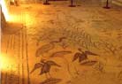 The Byzantine mosaic floor - animals and plants as far as the eye can see.